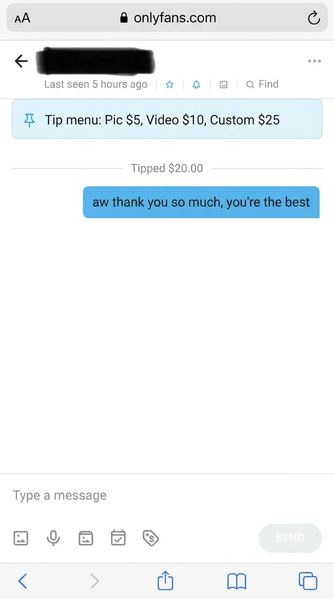 An OnlyFans chat showing a tip and a pinned tip menu